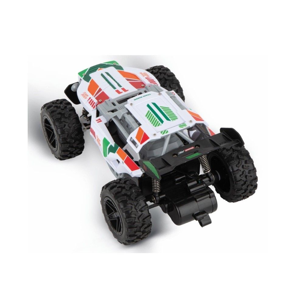 1/20 - Team Rider