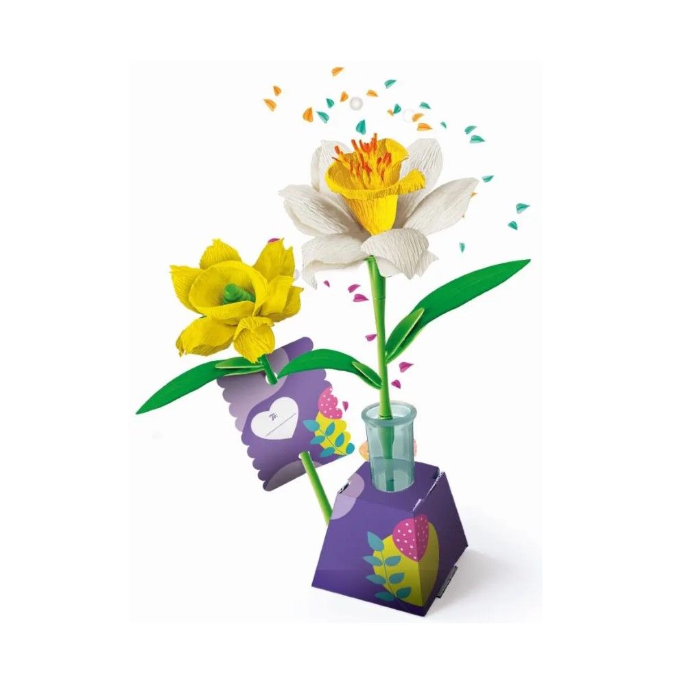 Criação de Narcisos