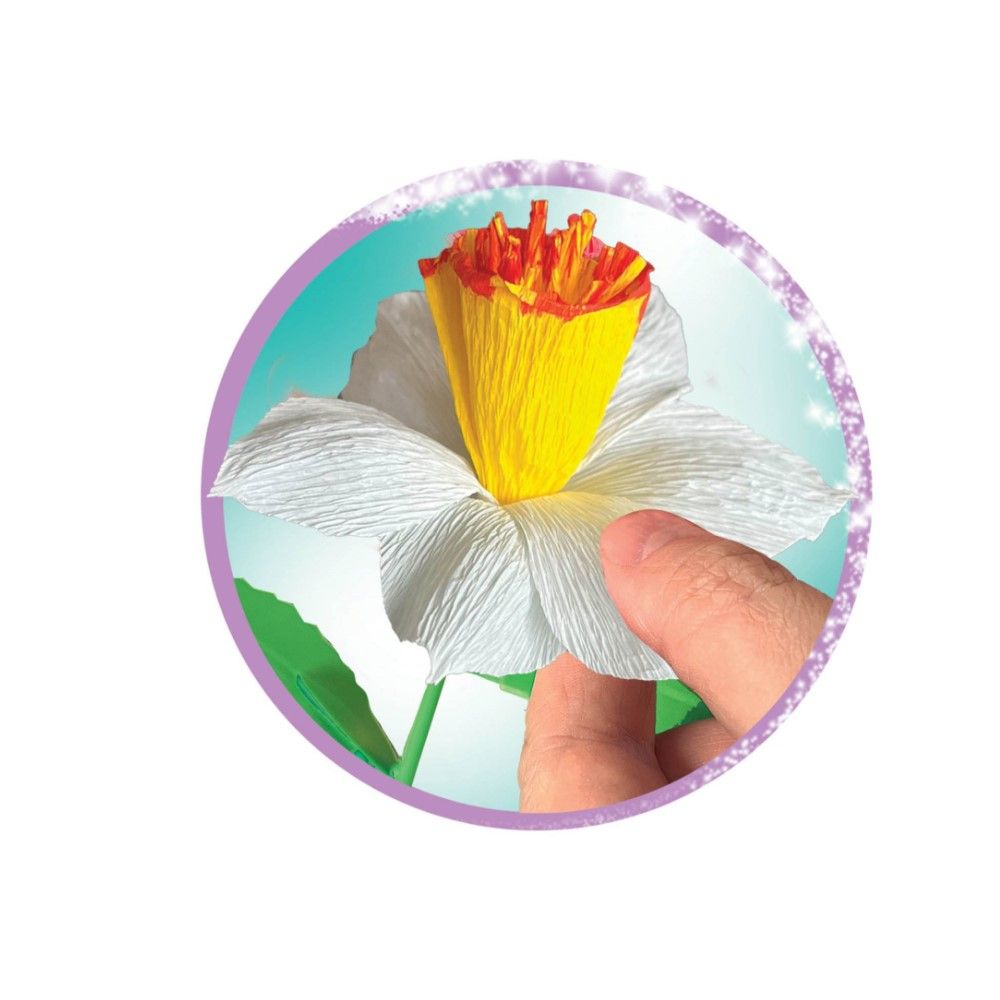 Criação de Narcisos