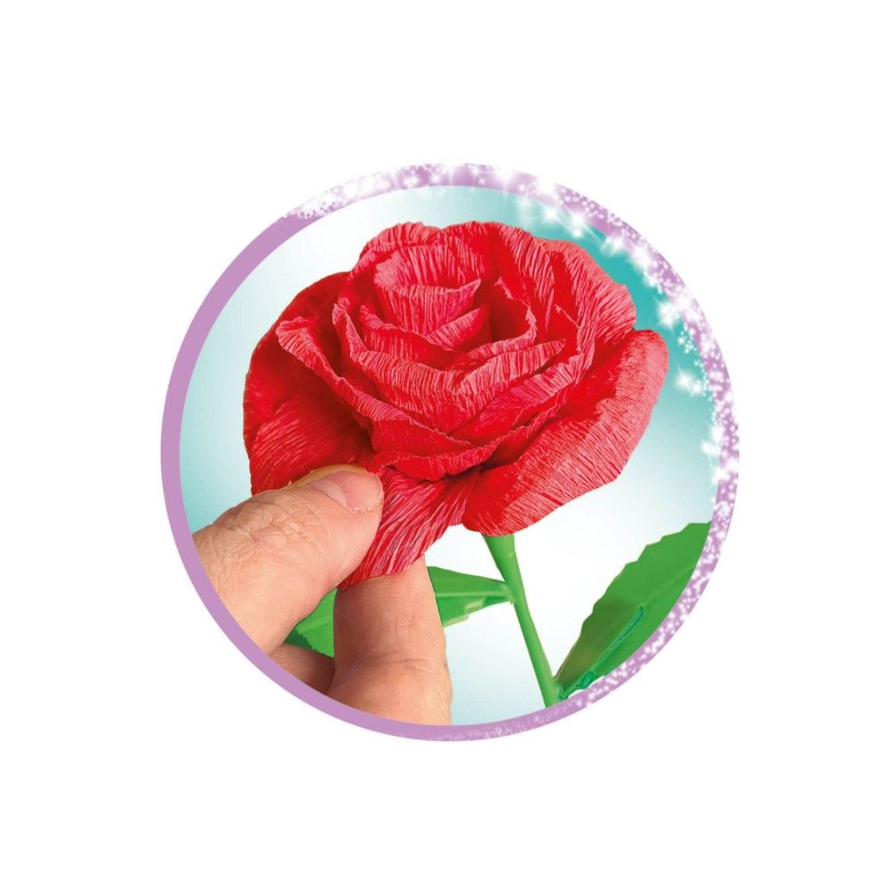 Criação de Rosas