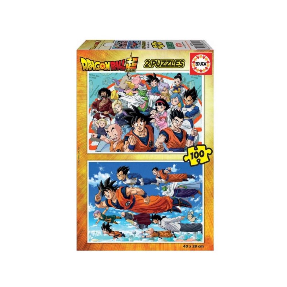 Pzl 2x100 - Dragon Ball