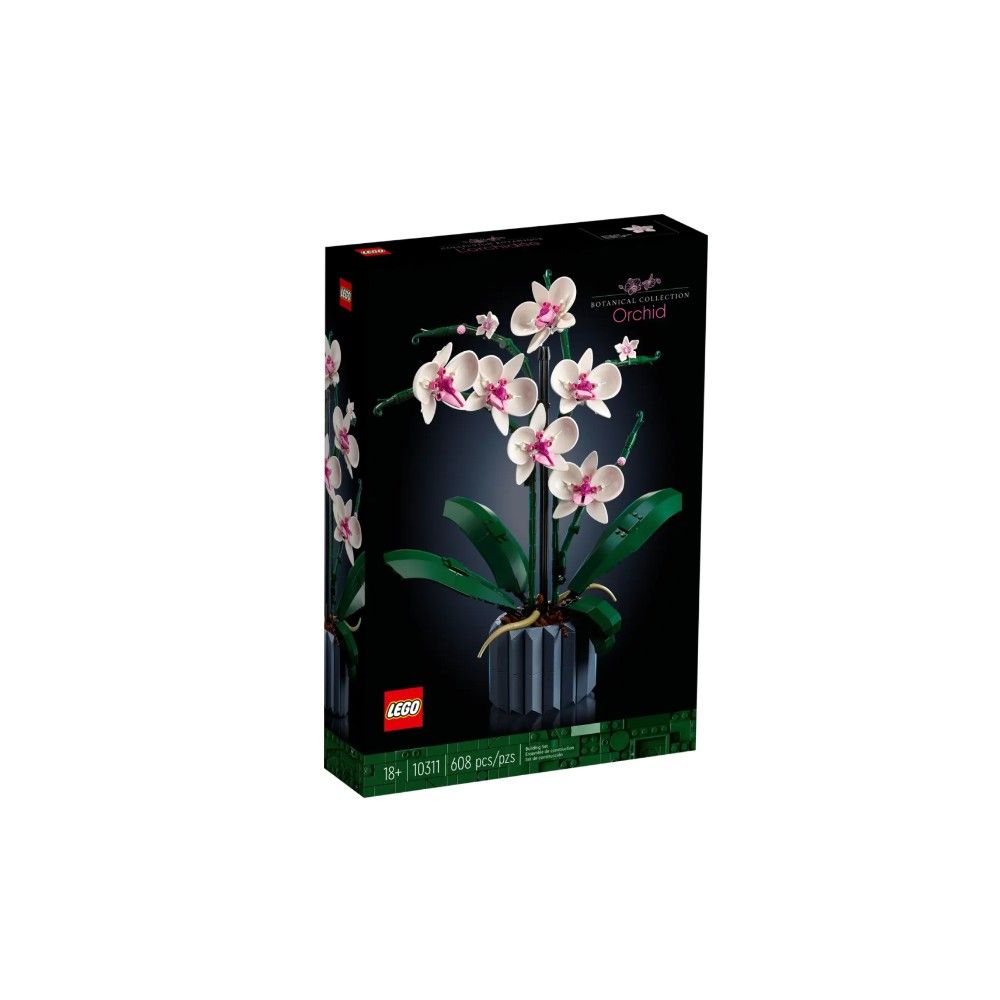Orquídea