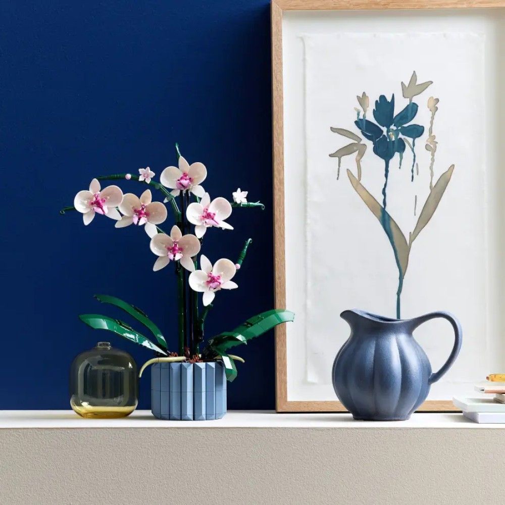Orquídea