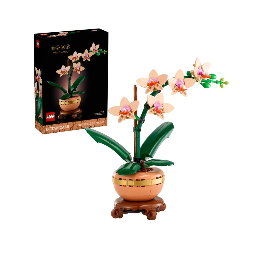 Orquídea em Miniatura