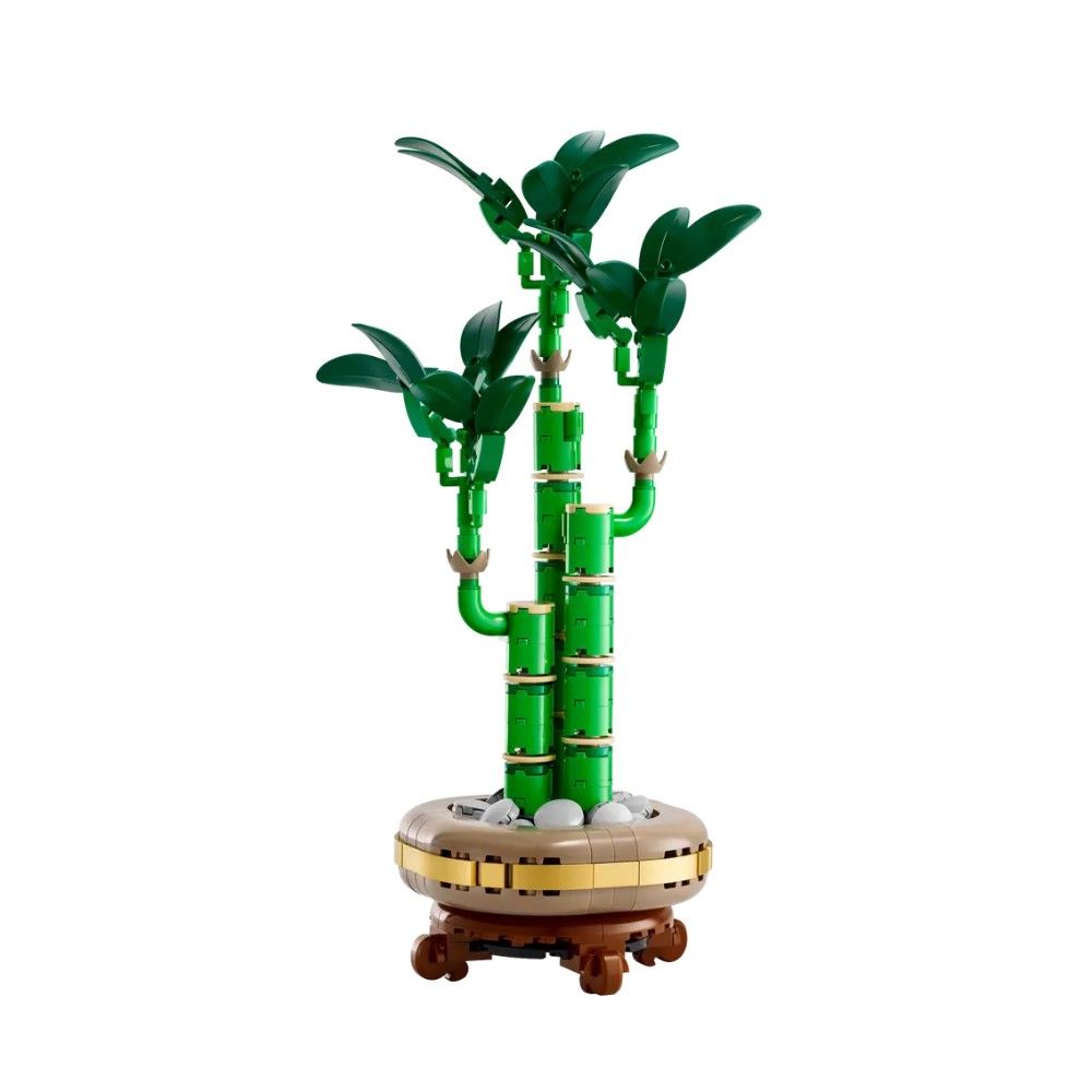 Bambu da Sorte