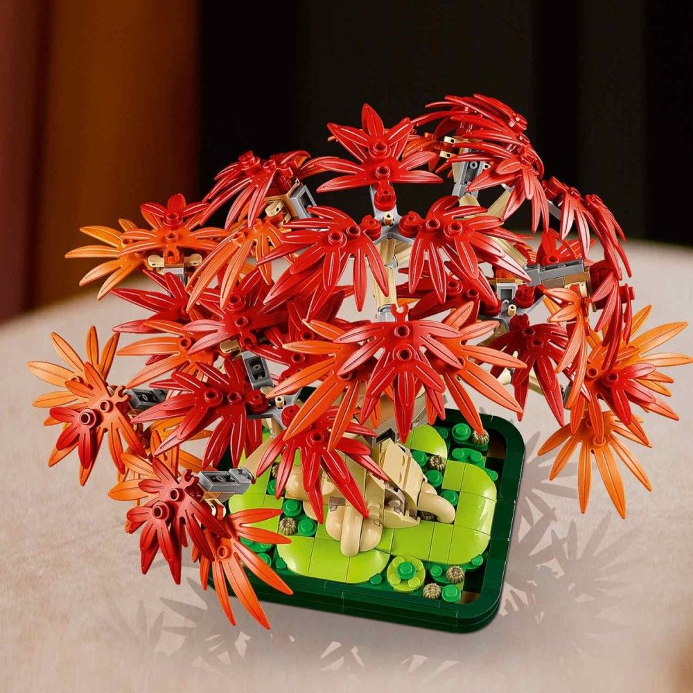Bonsai de Bordo Vermelho Japonês