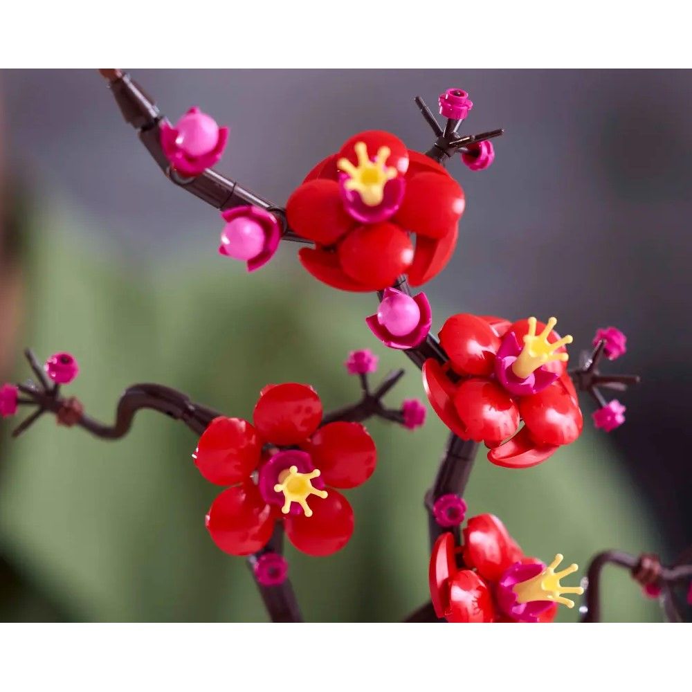 Flor de Ameixa