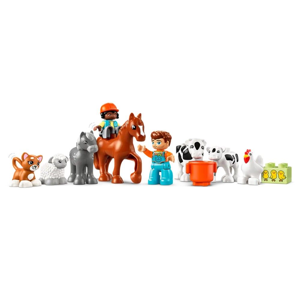 Cuidar dos Animais na Quinta