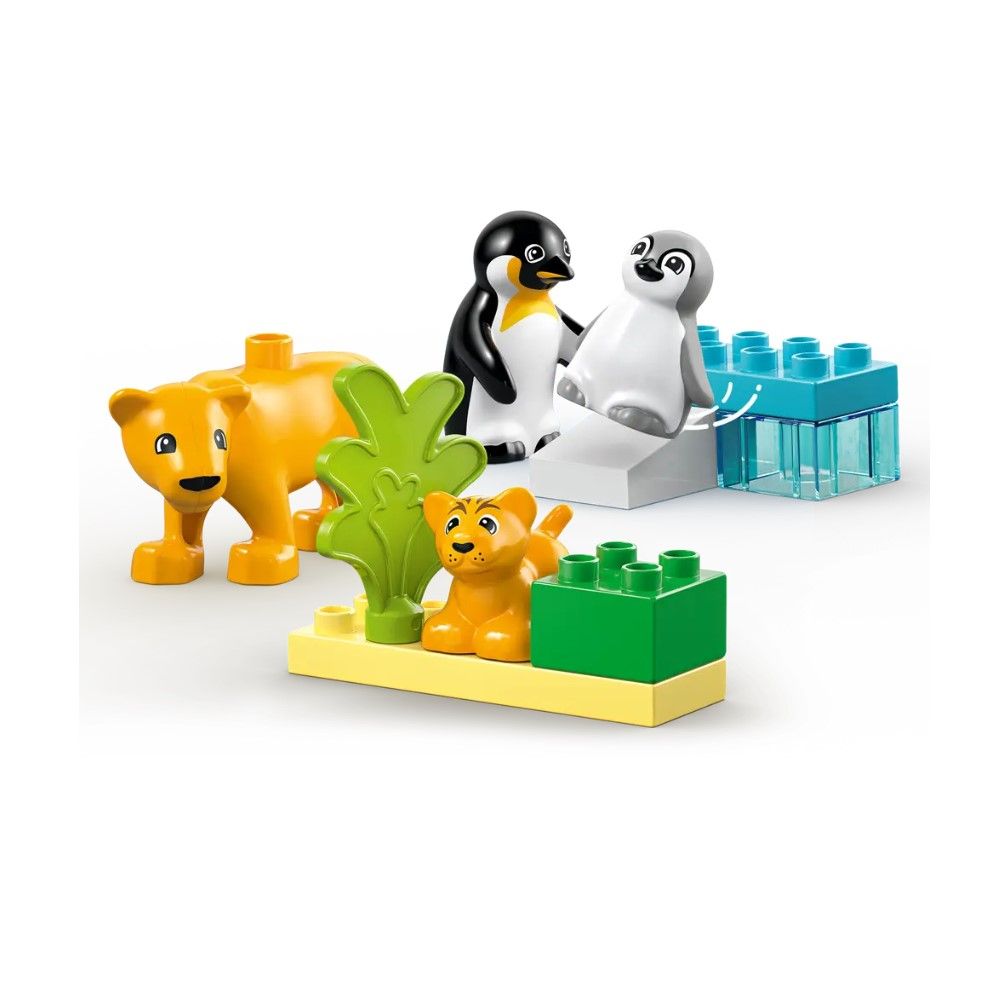 Famílias de Animais Selvagens: Pinguins e Leões
