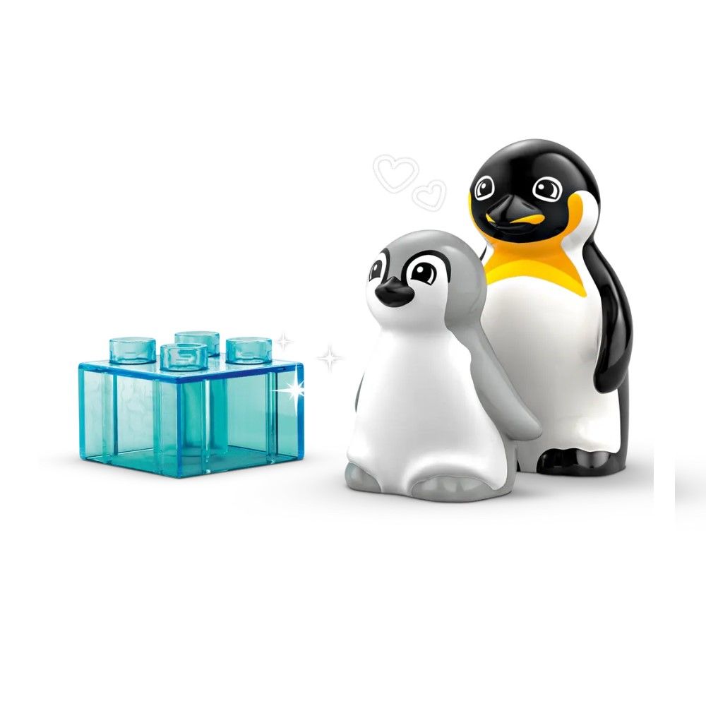 Famílias de Animais Selvagens: Pinguins e Leões