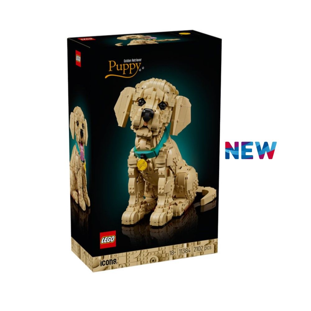 Cachorrinho Golden Retriever