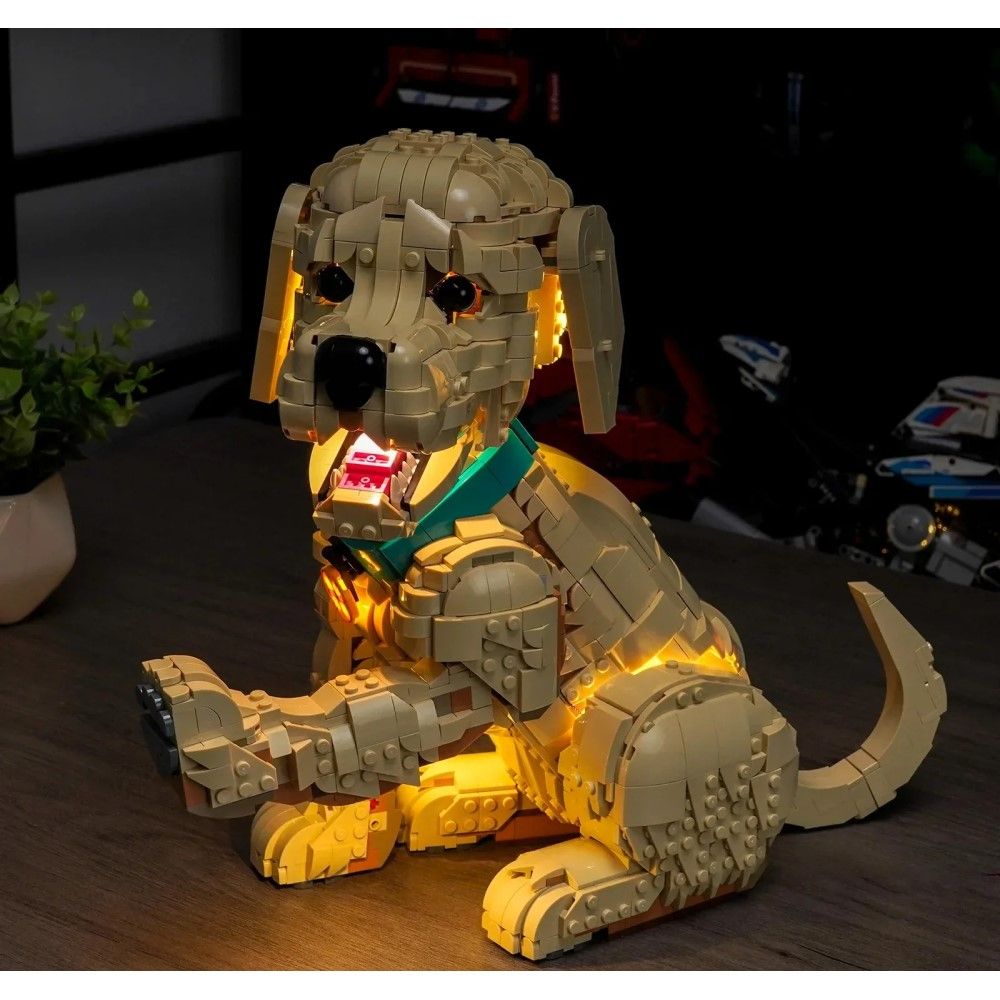 Cachorrinho Golden Retriever