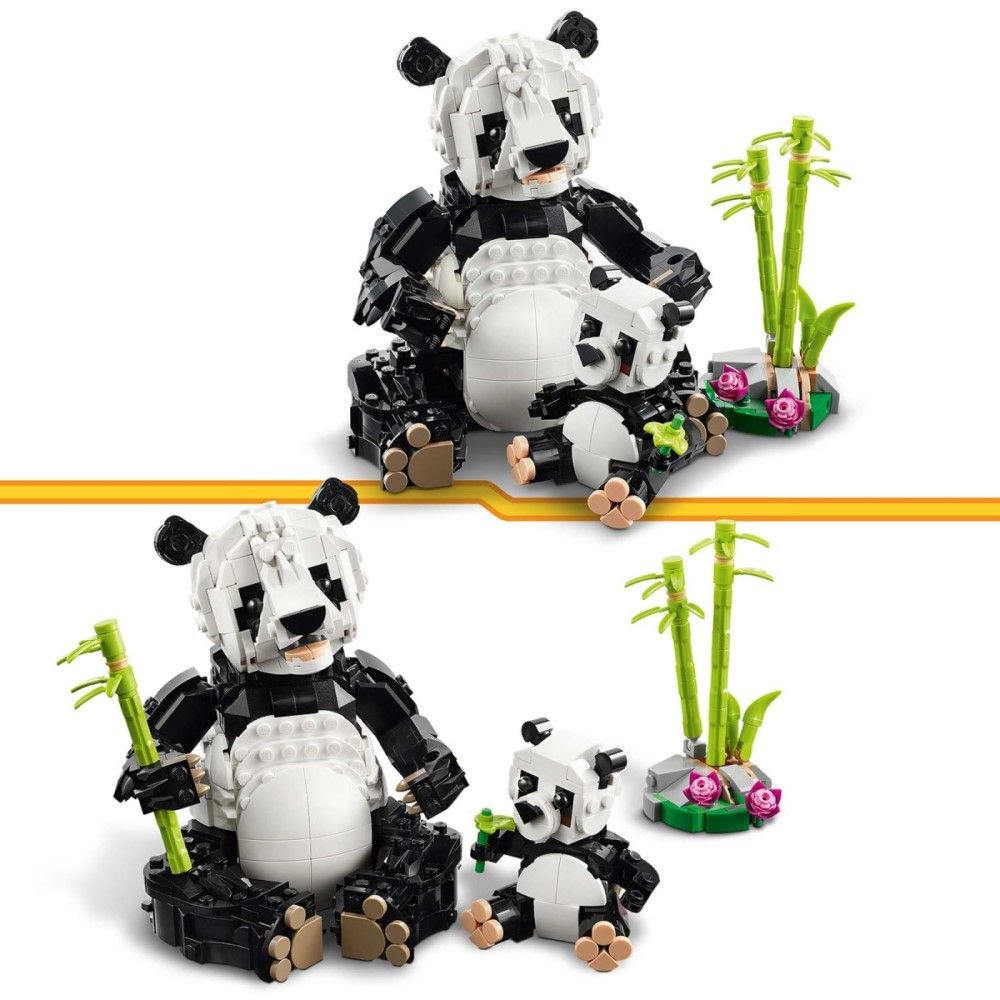 Animais Selvagens: Família de Pandas