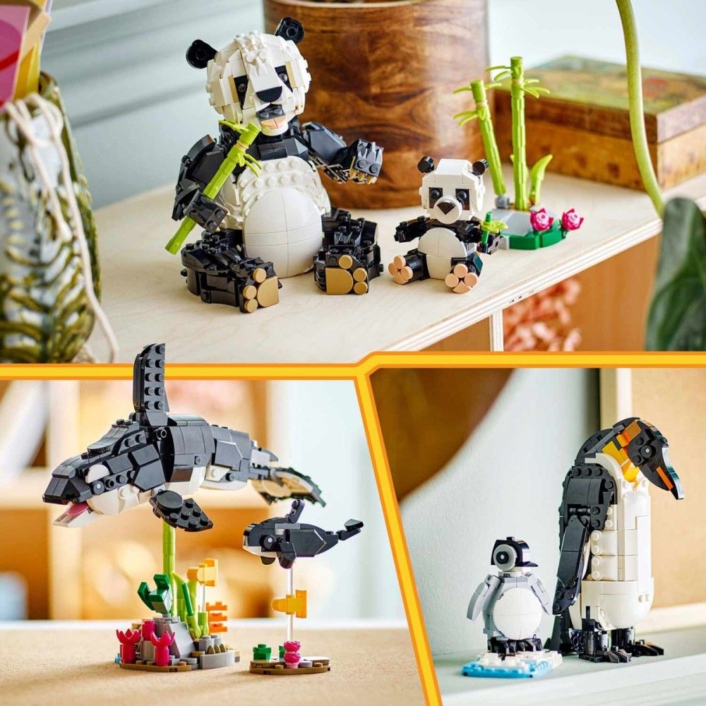 Animais Selvagens: Família de Pandas