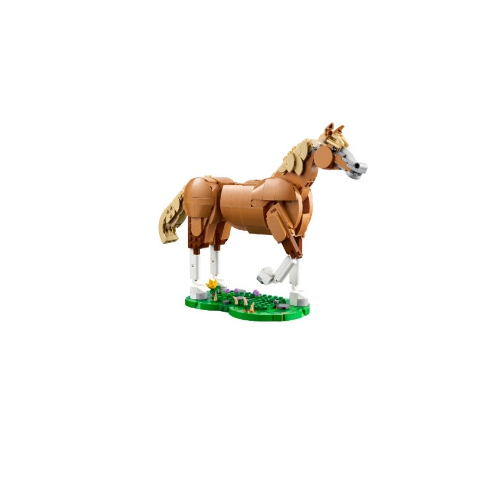 Cavalo Encantador