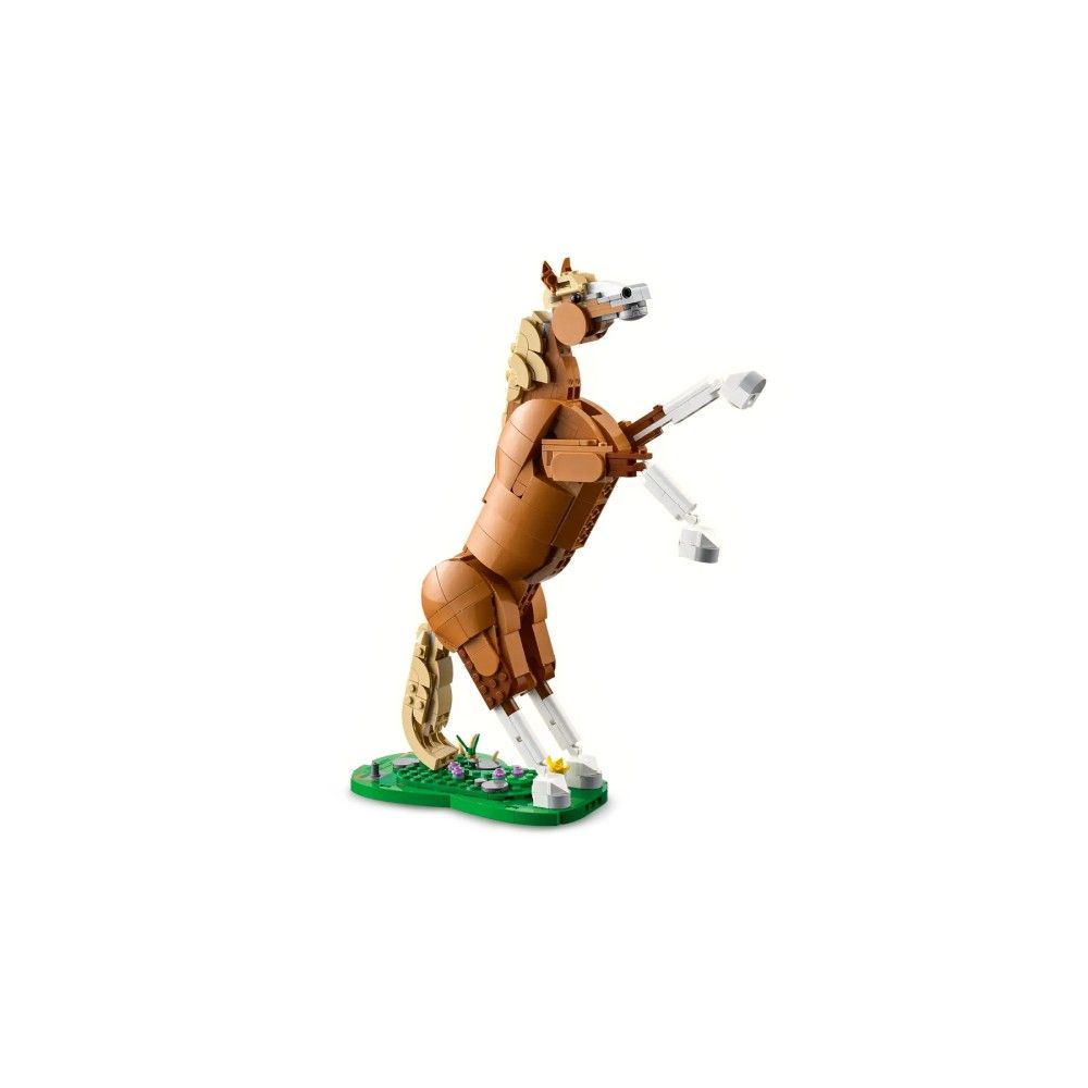 Cavalo Encantador