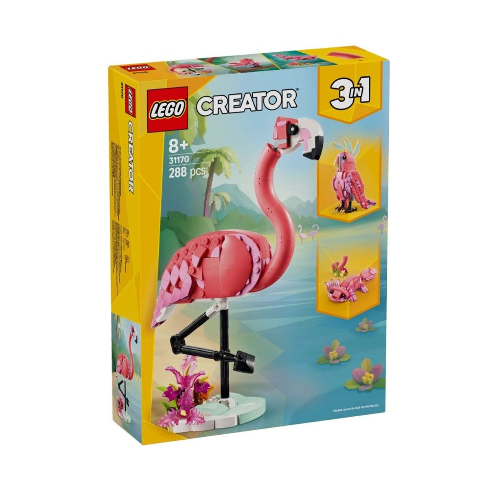 Animais Selvagens: Flamingo Cor-de-rosa