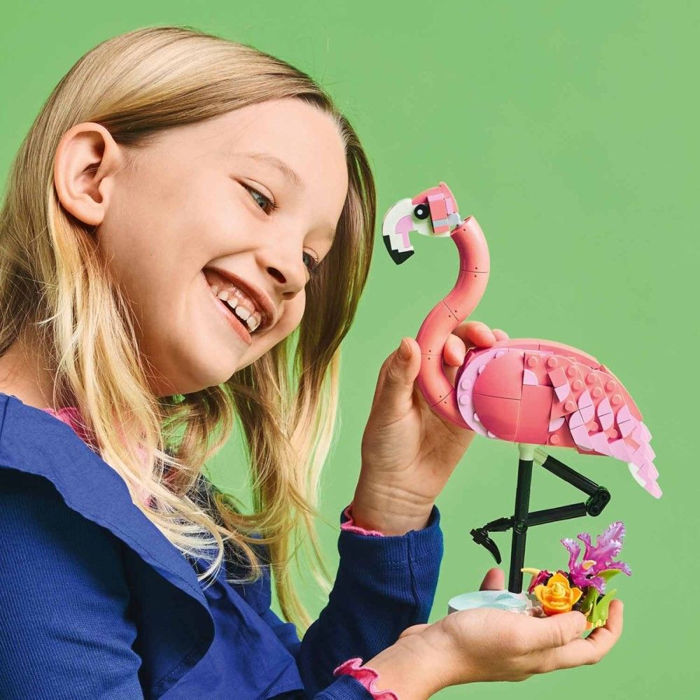 Animais Selvagens: Flamingo Cor-de-rosa