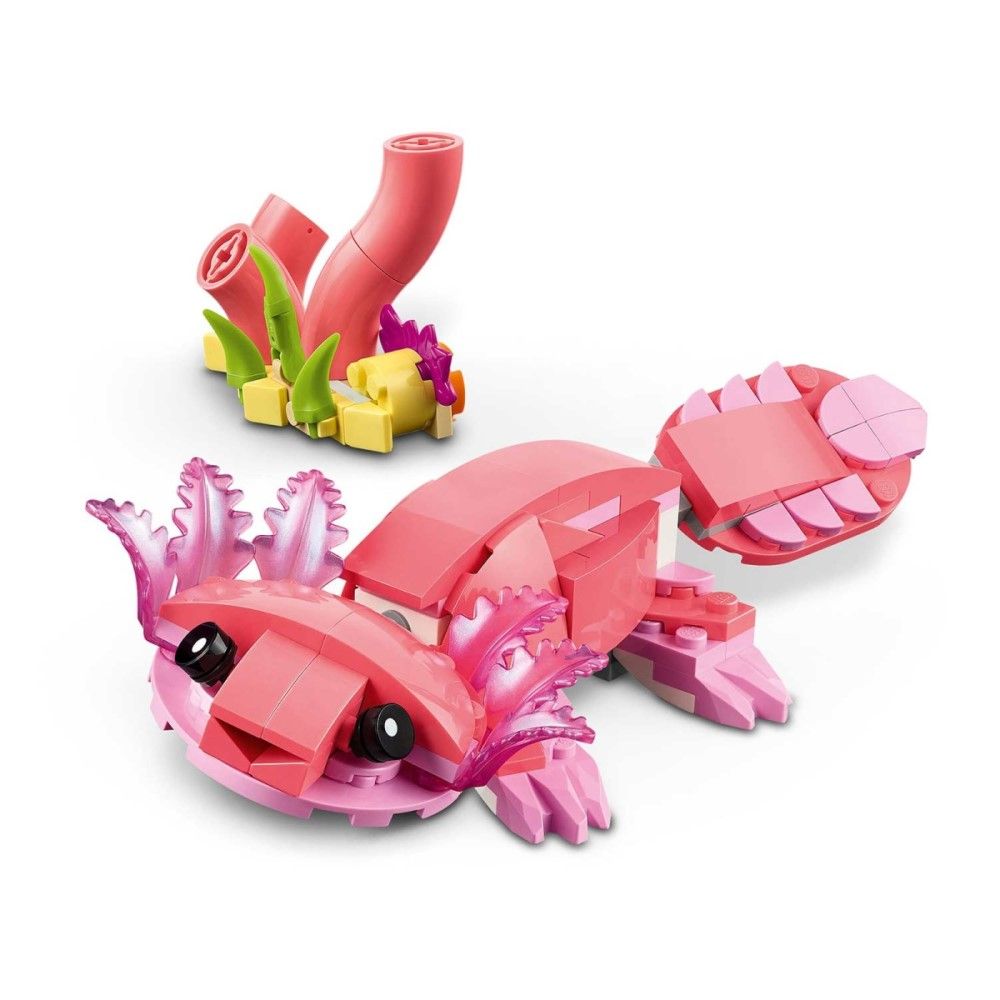 Animais Selvagens: Flamingo Cor-de-rosa