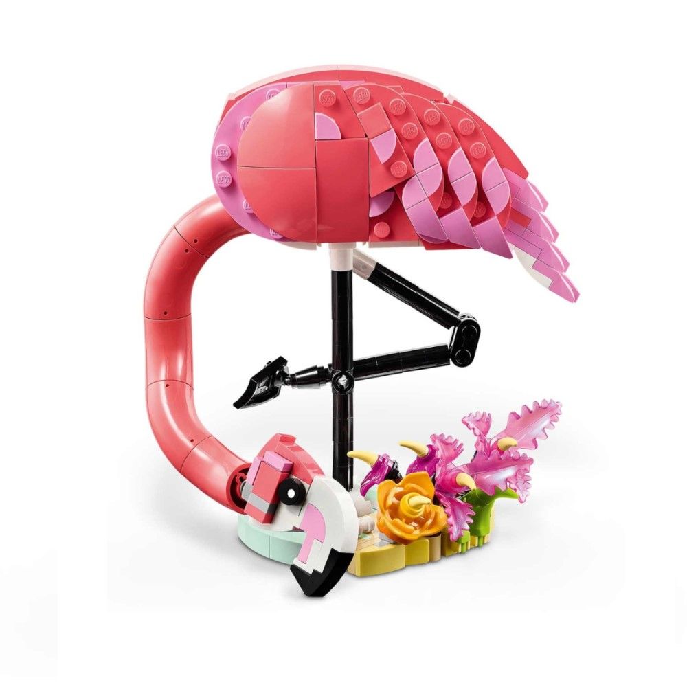 Animais Selvagens: Flamingo Cor-de-rosa