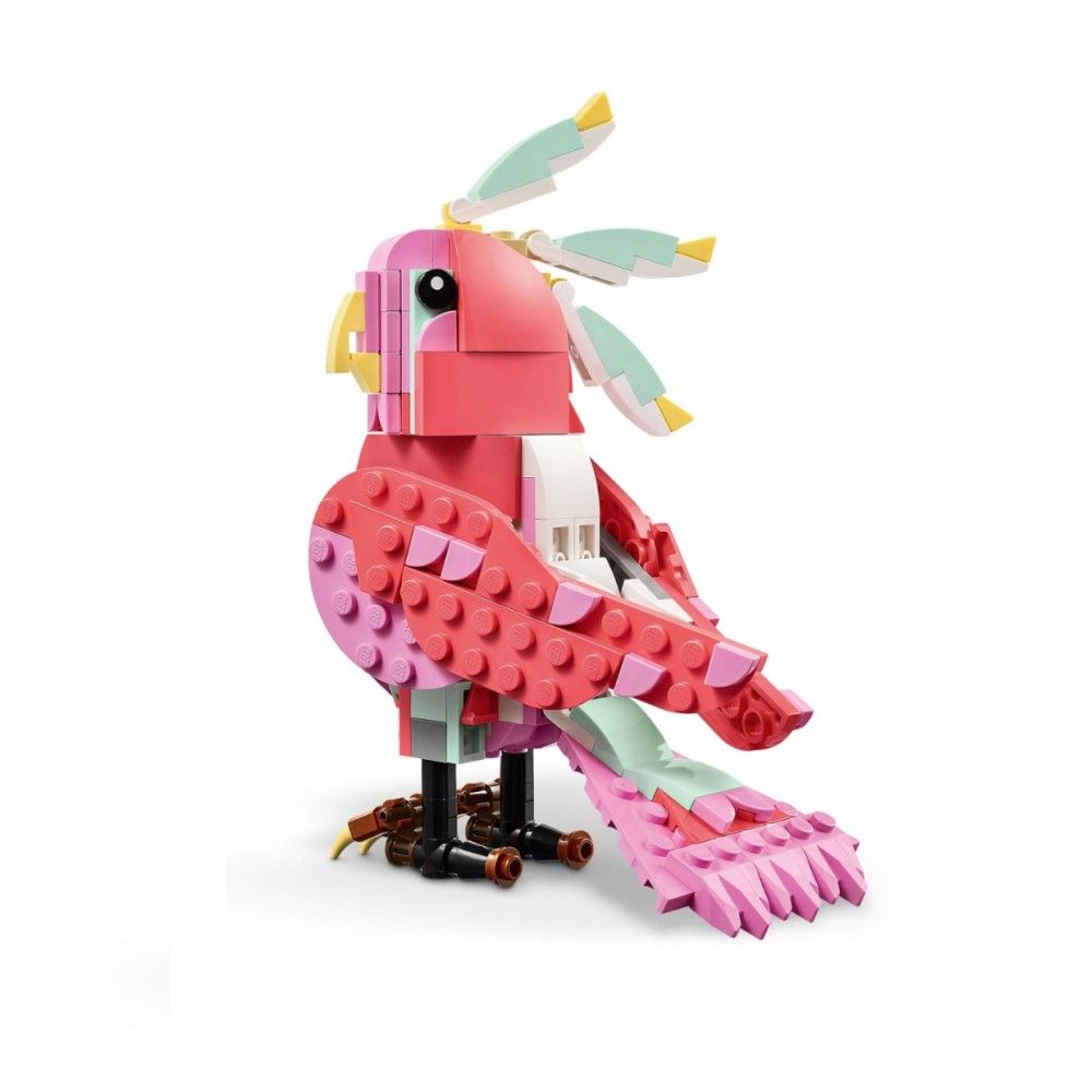 Animais Selvagens: Flamingo Cor-de-rosa