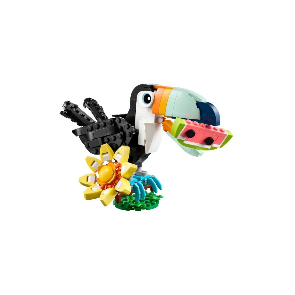 Animais Selvagens: Tucano Tropical