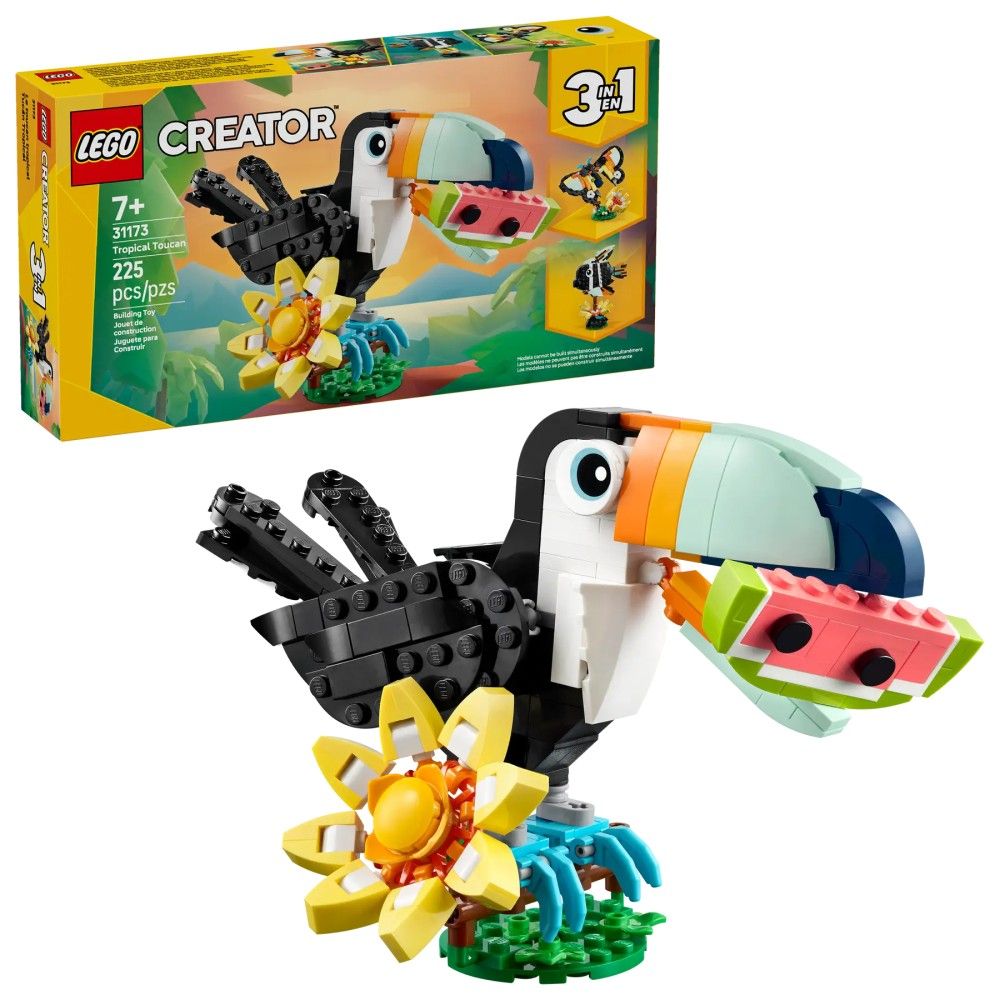 Animais Selvagens: Tucano Tropical