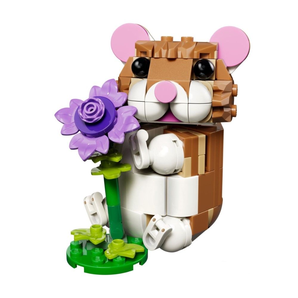 Hamster Adorável Com Flor