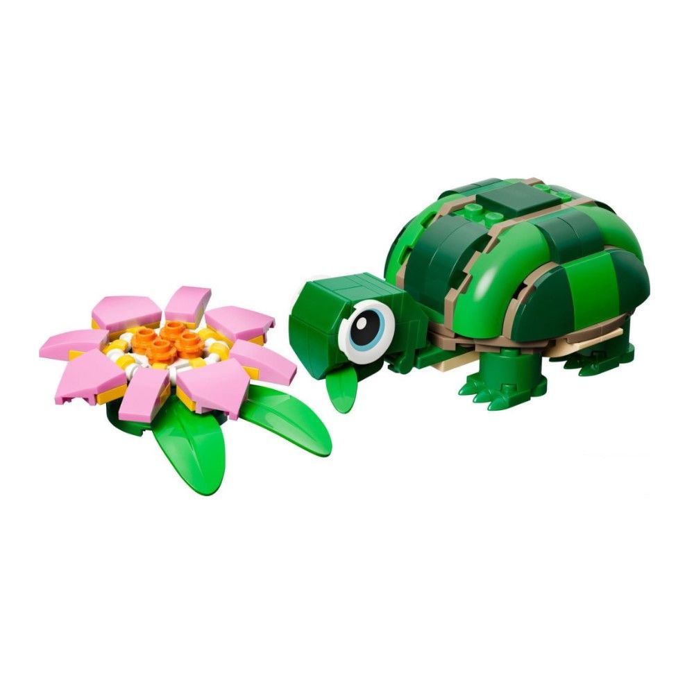 Tartaruga Com Nenúfar