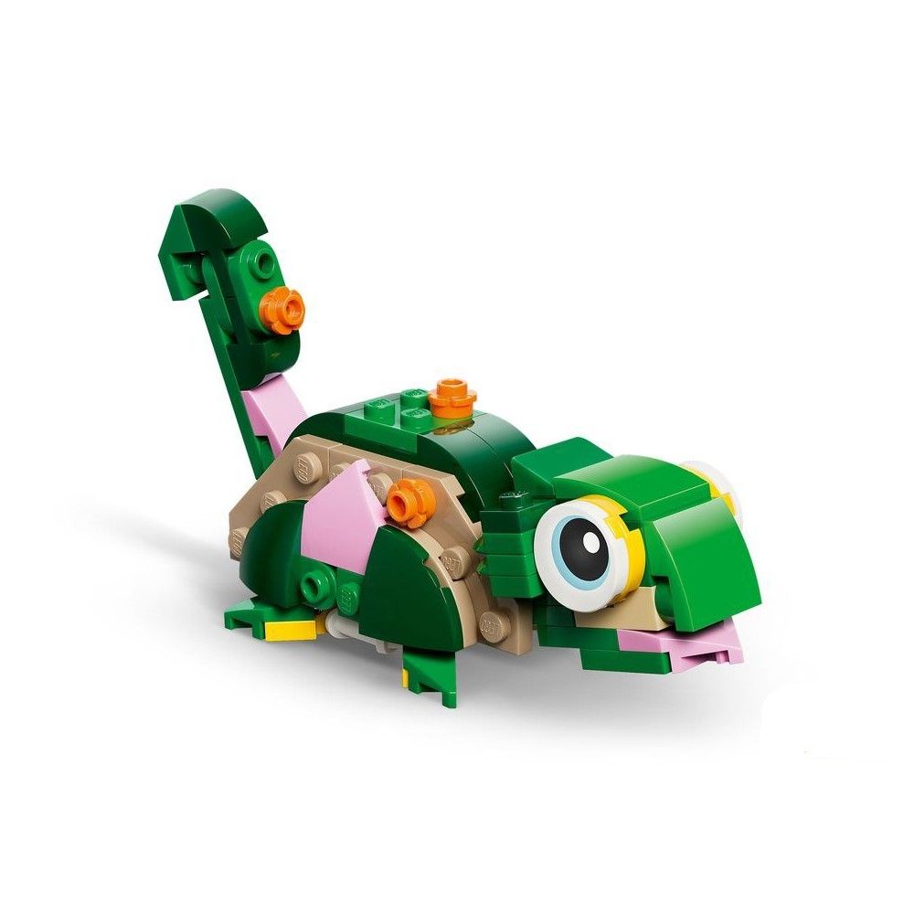 Tartaruga Com Nenúfar