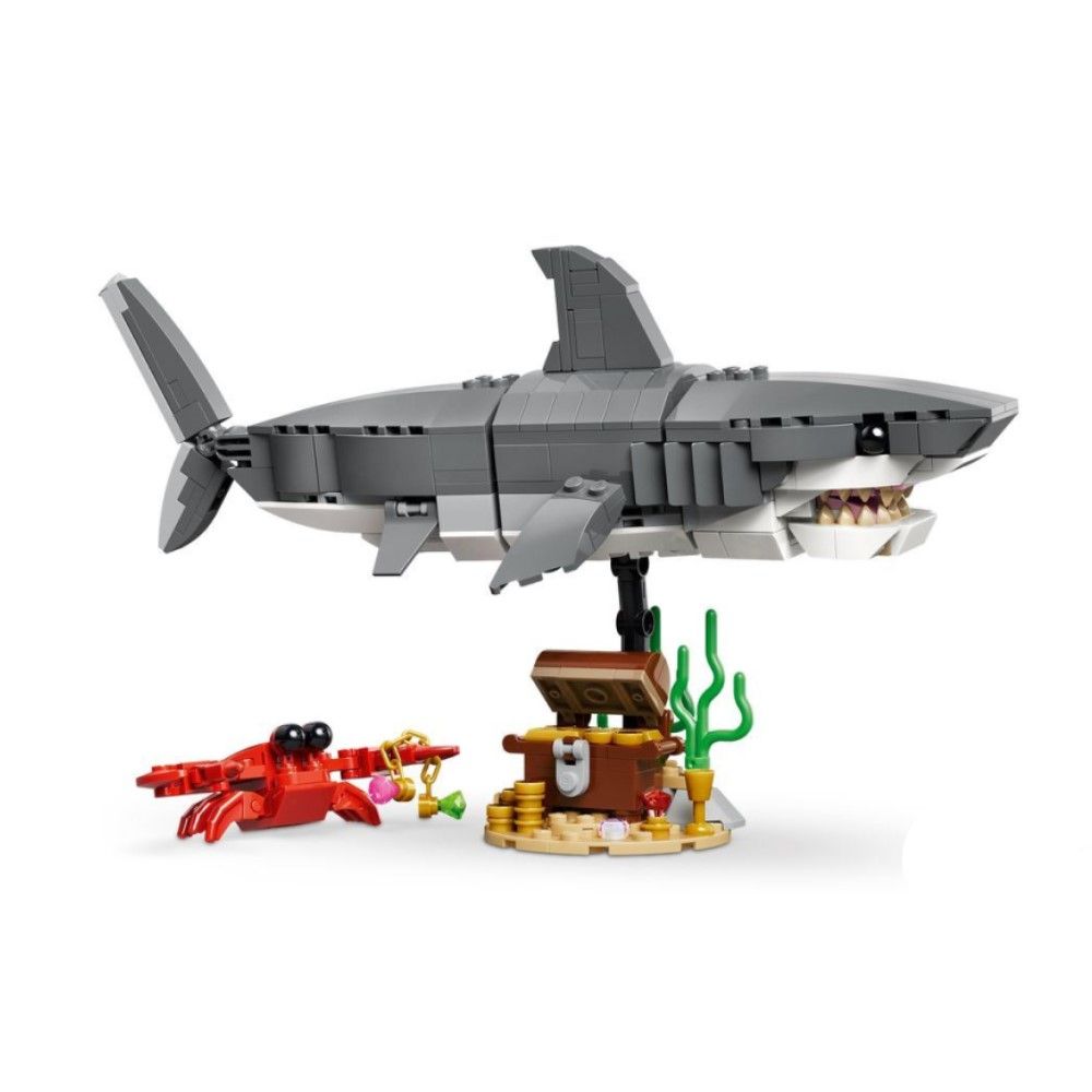 Tubarão Feroz Com Baú do Tesouro