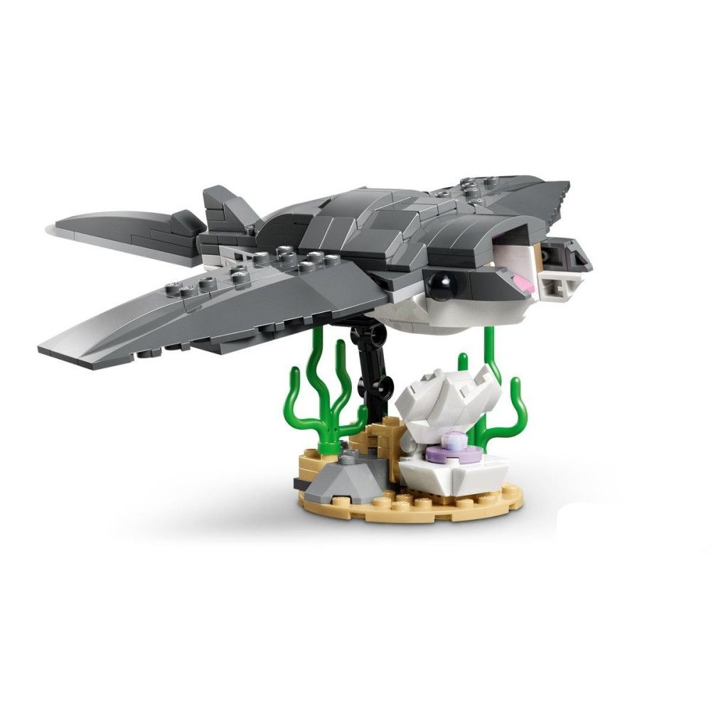 Tubarão Feroz Com Baú do Tesouro