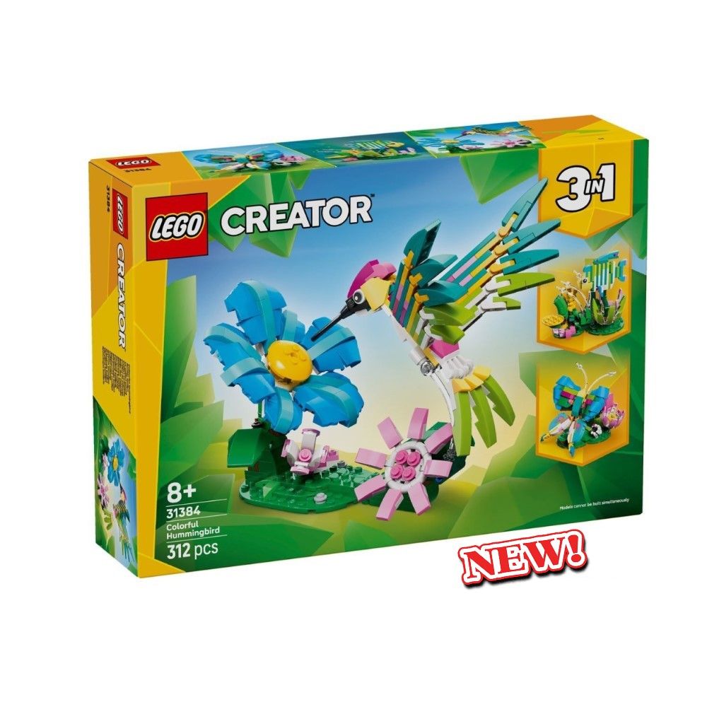 Animais Selvagens: Beija-flor Colorido