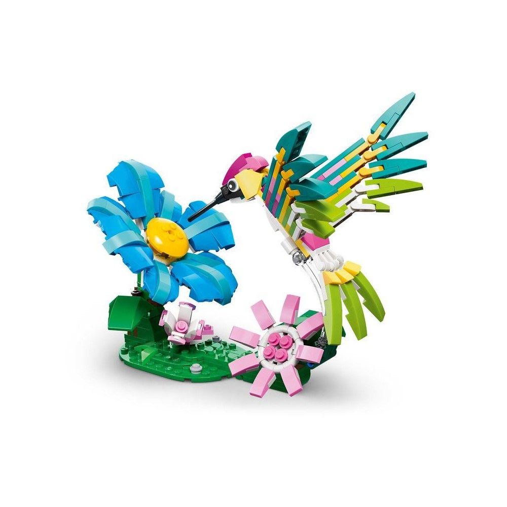 Animais Selvagens: Beija-flor Colorido