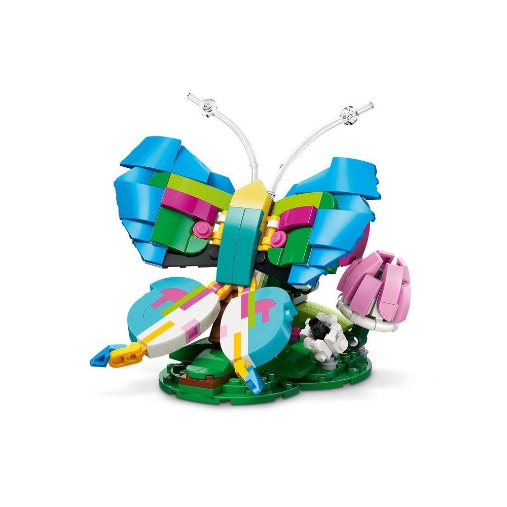 Animais Selvagens: Beija-flor Colorido