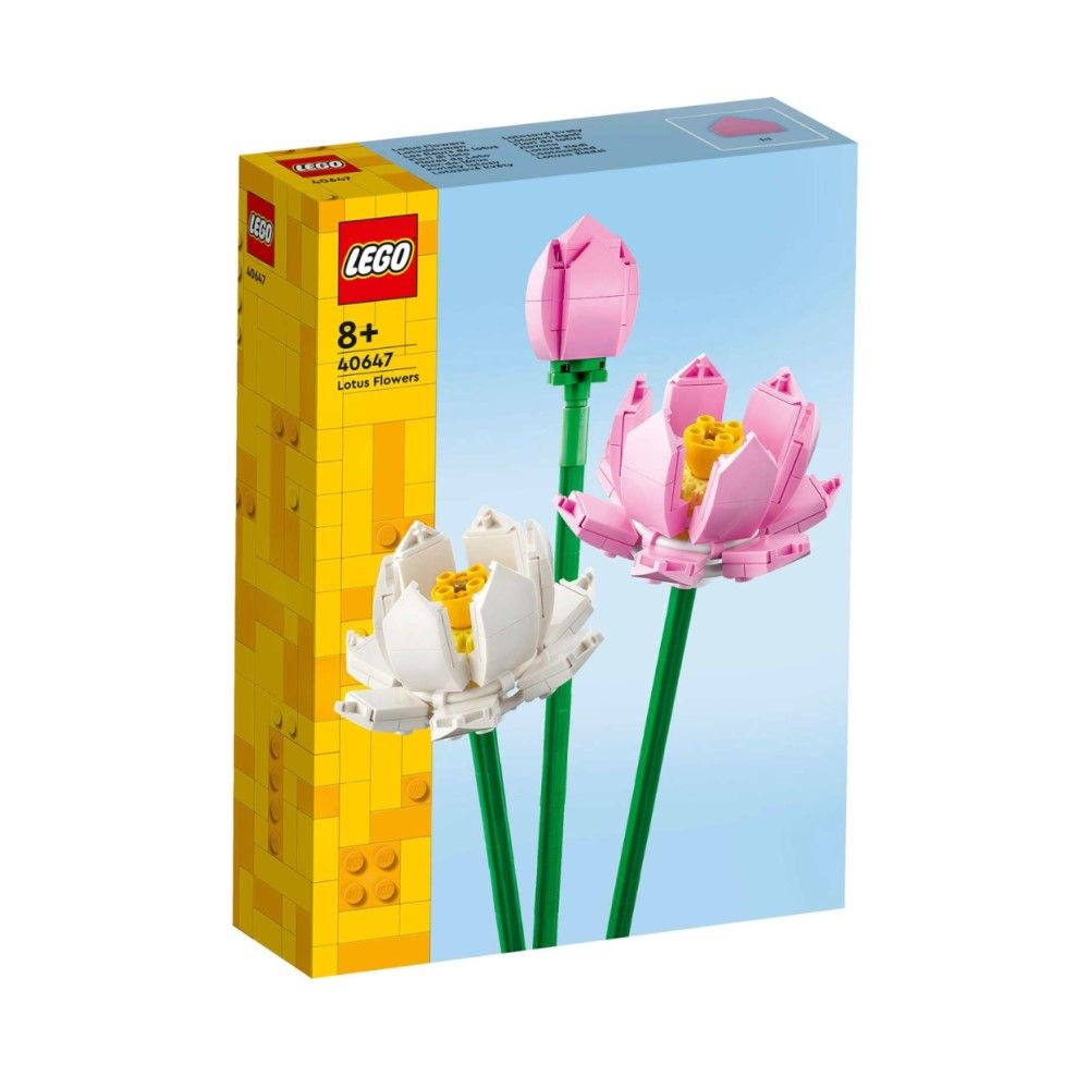 Flor-de-lótus