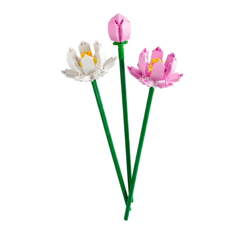 Flor-de-lótus
