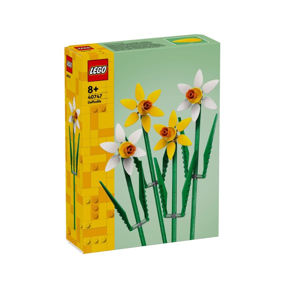 Narcisos