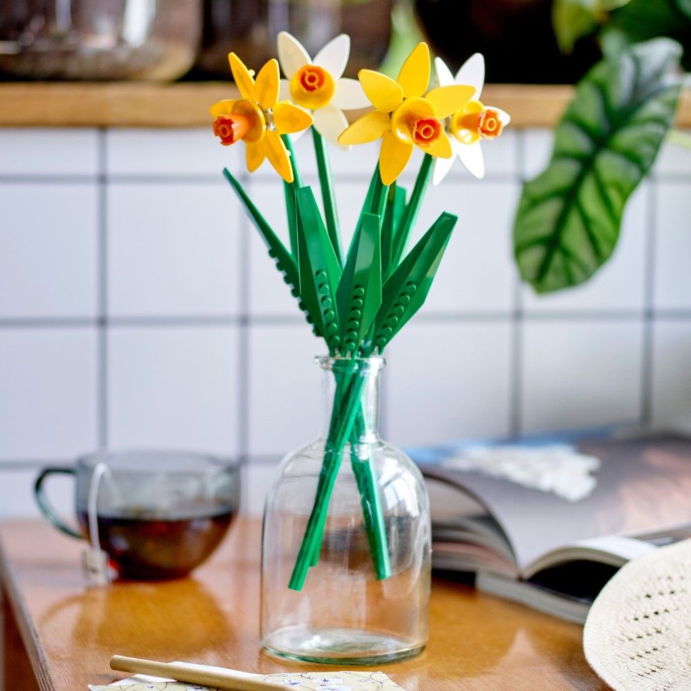 Narcisos