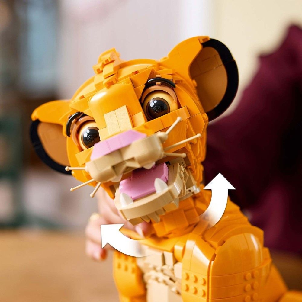 Pequeno Simba, o Rei Leão