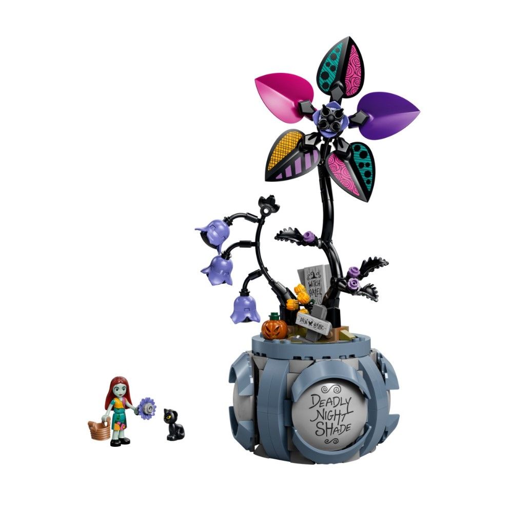 O Vaso de Flores da Sally