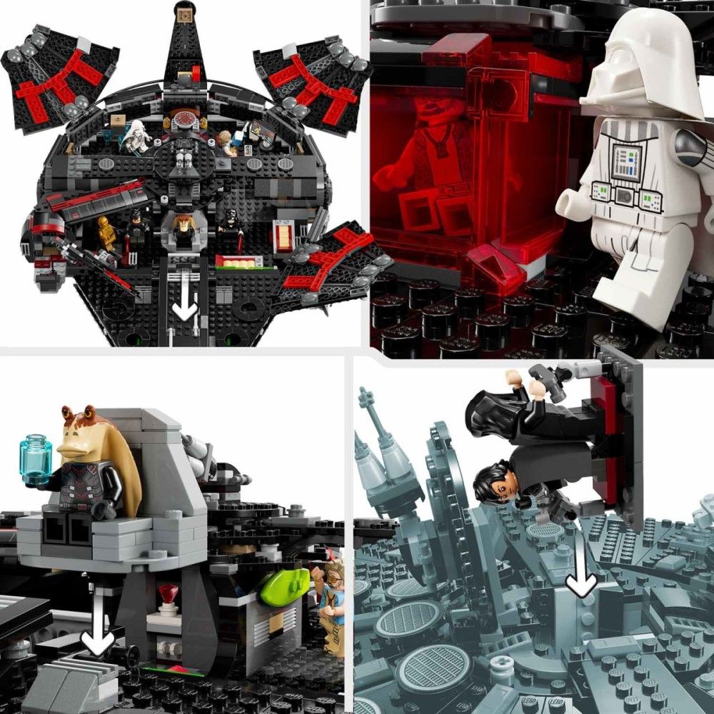 A Dark Falcon