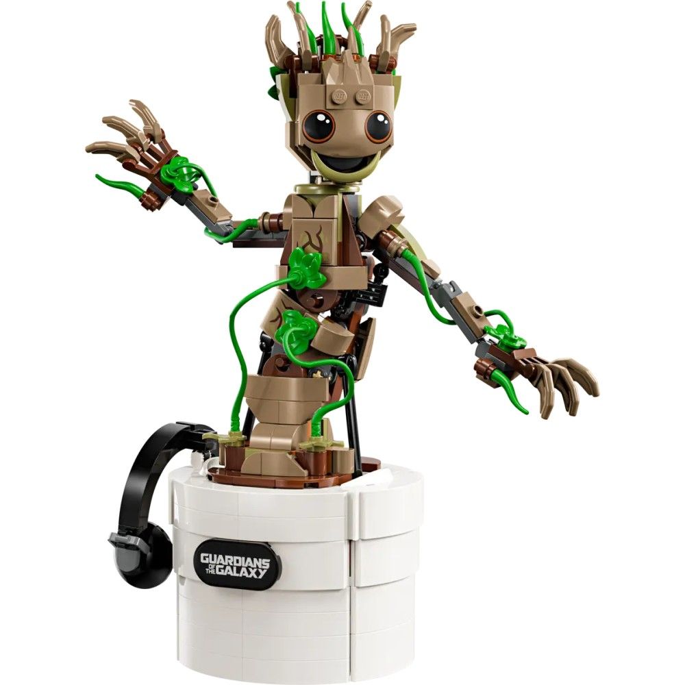 Groot Dançante