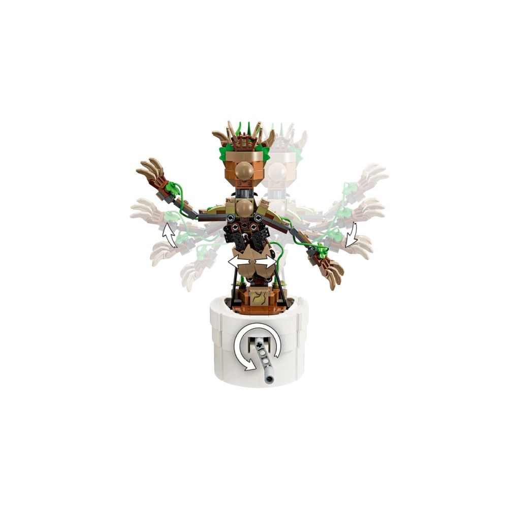 Groot Dançante