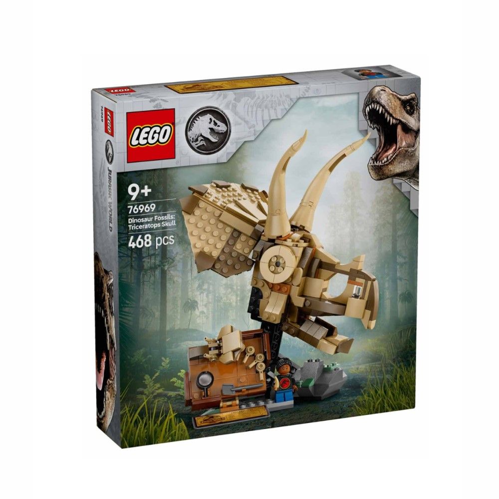 Fósseis de dinossauros: Crânio de Triceratops