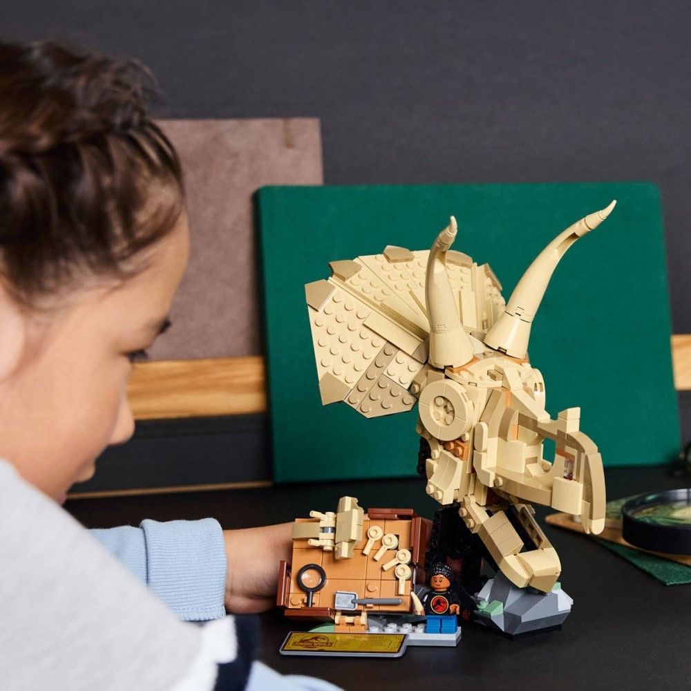 Fósseis de dinossauros: Crânio de Triceratops