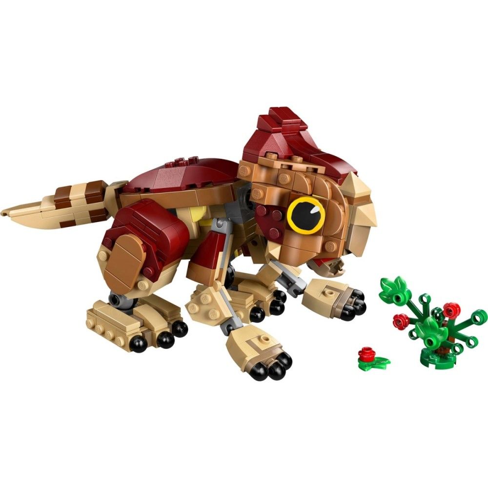Dinossauro Bebé Dolores: Aquilops