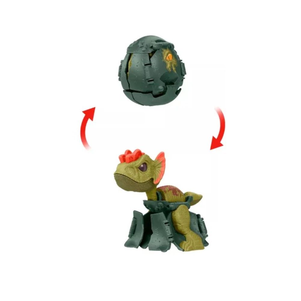 Sortido Tiranossauro REX