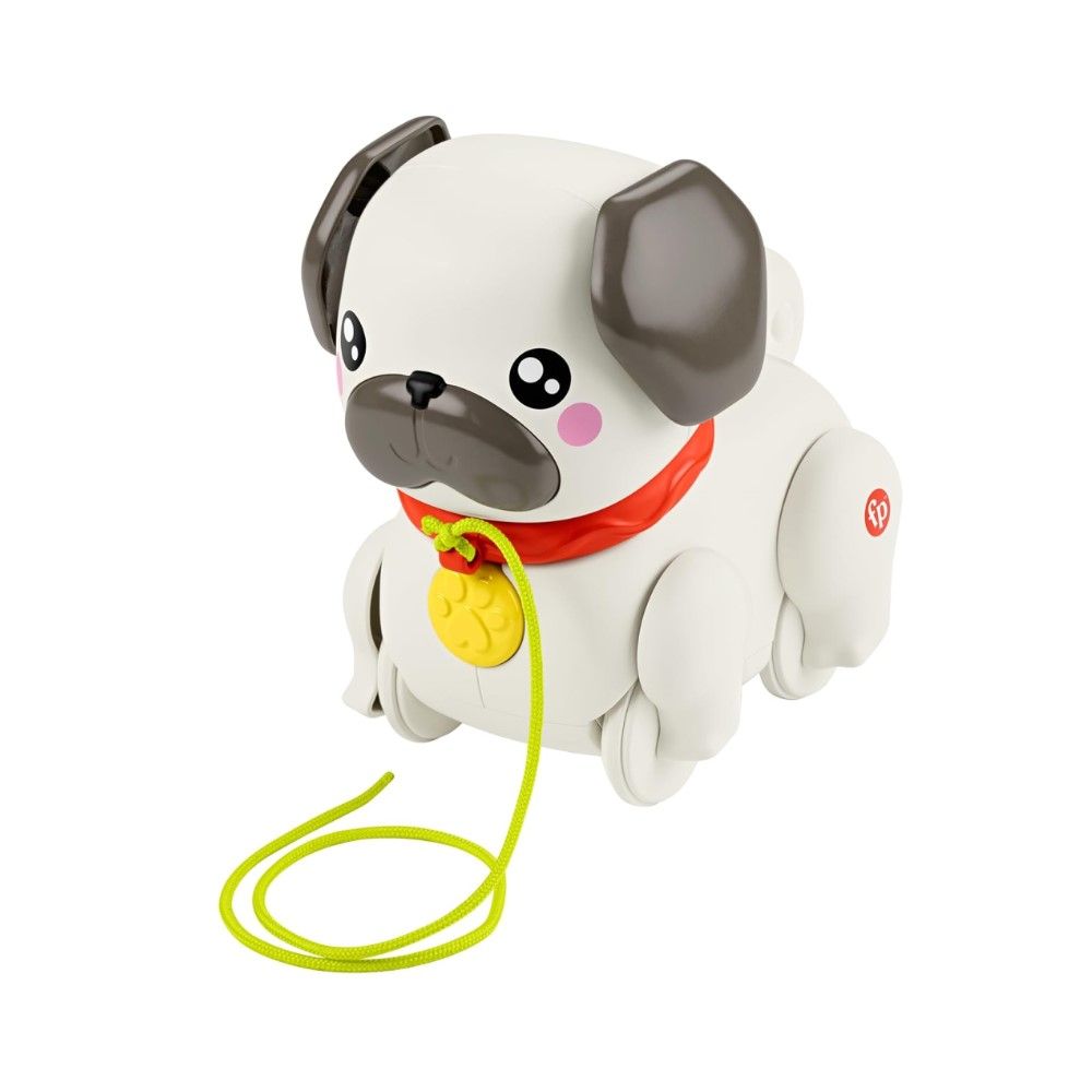 Caminha com o Cãozinho