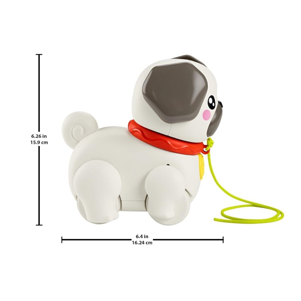 Caminha com o Cãozinho